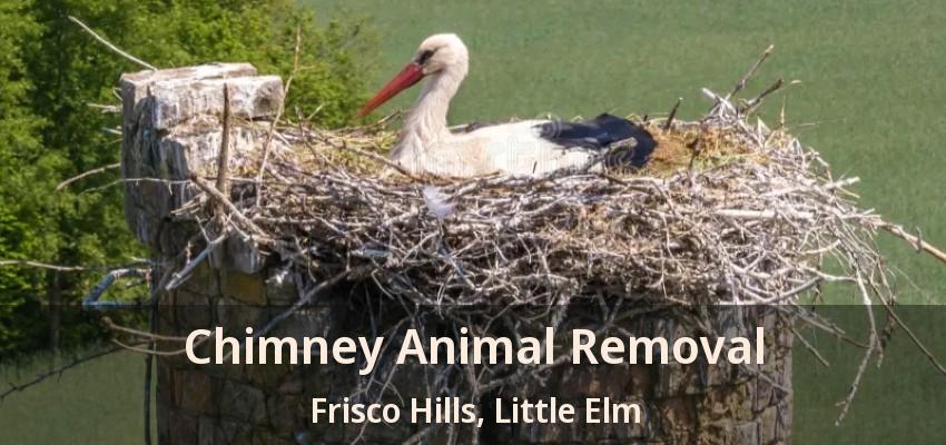 Chimney Animal Removal Frisco Hills, Little Elm - TX