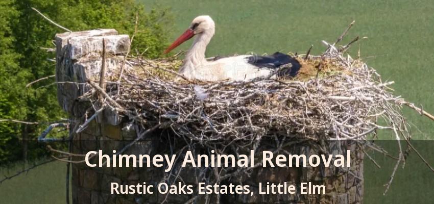 Chimney Animal Removal Rustic Oaks Estates, Little Elm - TX