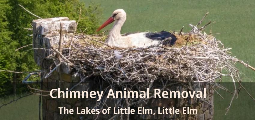 Chimney Animal Removal The Lakes of Little Elm, Little Elm - TX