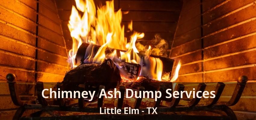 Chimney Ash Dump Services Little Elm - TX