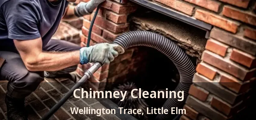Chimney Cleaning Wellington Trace, Little Elm - TX