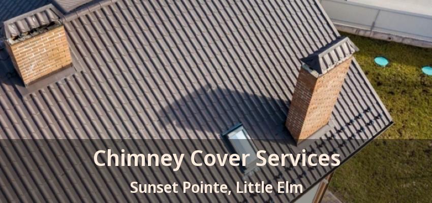 Chimney Cover Services Sunset Pointe, Little Elm - TX