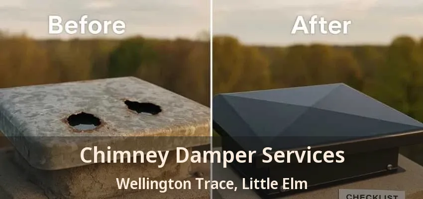Chimney Damper Services Wellington Trace, Little Elm - TX