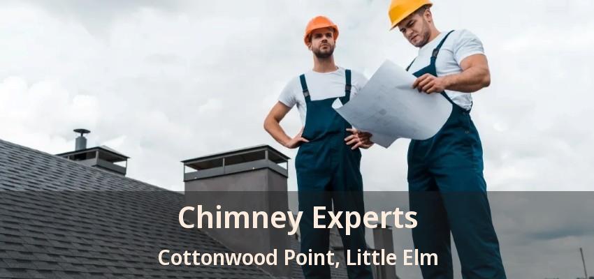 Chimney Experts Cottonwood Point, Little Elm - TX