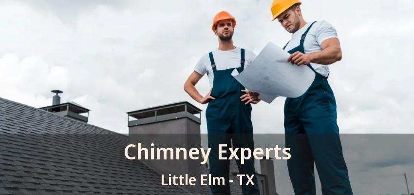 Chimney Experts Little Elm - TX
