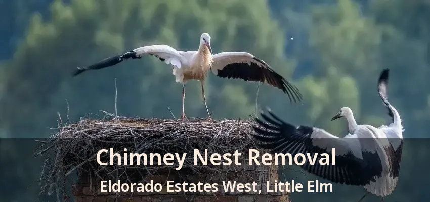 Chimney Nest Removal Eldorado Estates West, Little Elm - TX