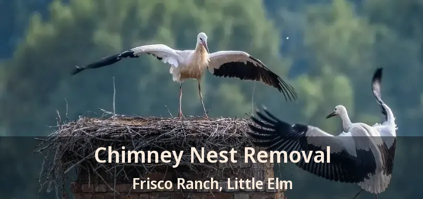 Chimney Nest Removal Frisco Ranch, Little Elm - TX