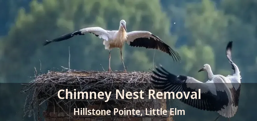 Chimney Nest Removal Hillstone Pointe, Little Elm - TX