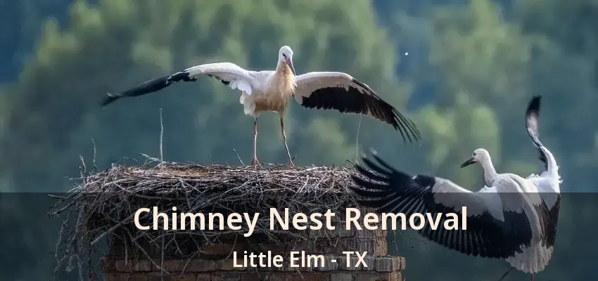 Chimney Nest Removal Little Elm - TX