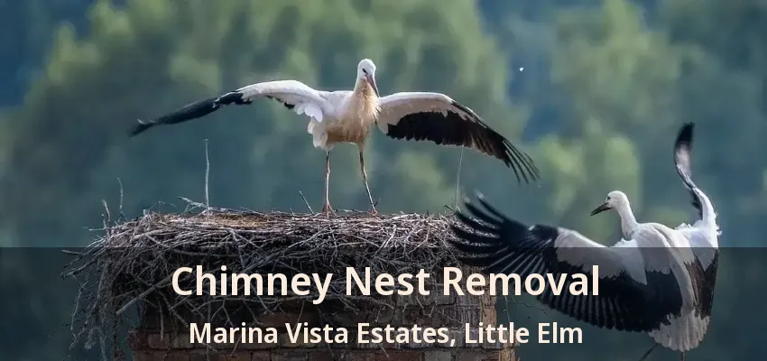 Chimney Nest Removal Marina Vista Estates, Little Elm - TX