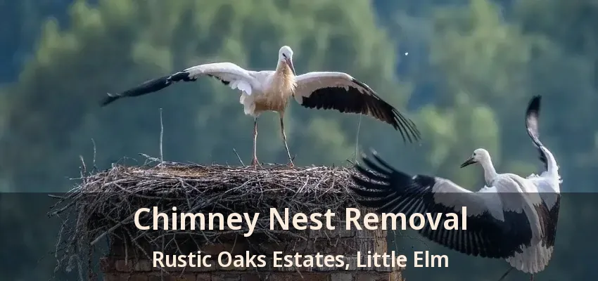 Chimney Nest Removal Rustic Oaks Estates, Little Elm - TX