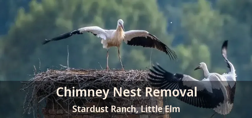Chimney Nest Removal Stardust Ranch, Little Elm - TX