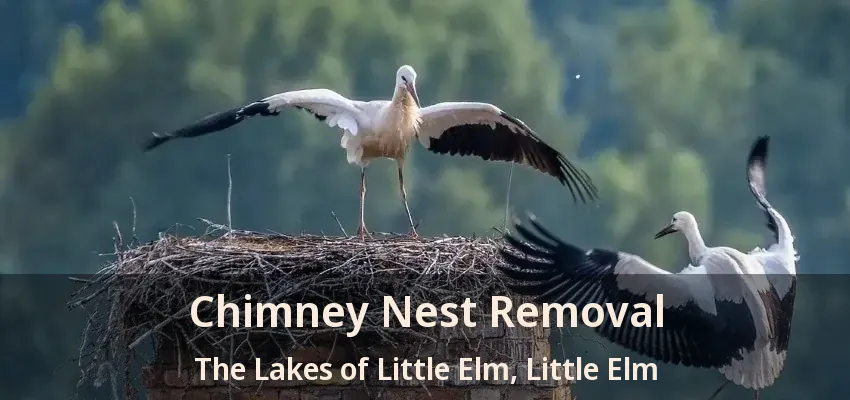 Chimney Nest Removal The Lakes of Little Elm, Little Elm - TX