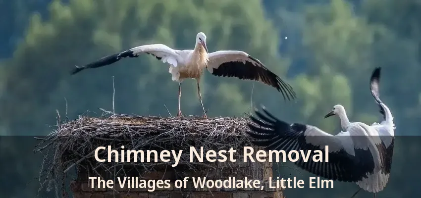 Chimney Nest Removal The Villages of Woodlake, Little Elm - TX