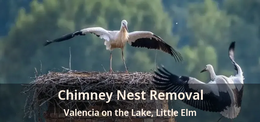Chimney Nest Removal Valencia on the Lake, Little Elm - TX