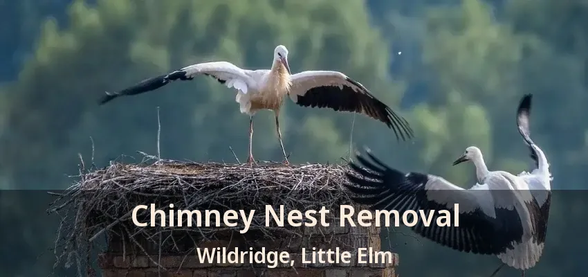 Chimney Nest Removal Wildridge, Little Elm - TX
