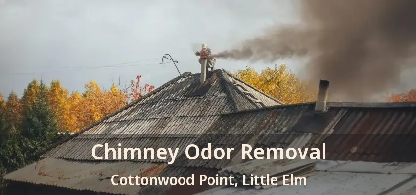 Chimney Odor Removal Cottonwood Point, Little Elm - TX