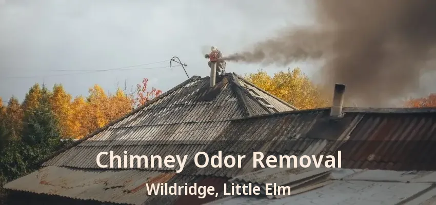 Chimney Odor Removal Wildridge, Little Elm - TX