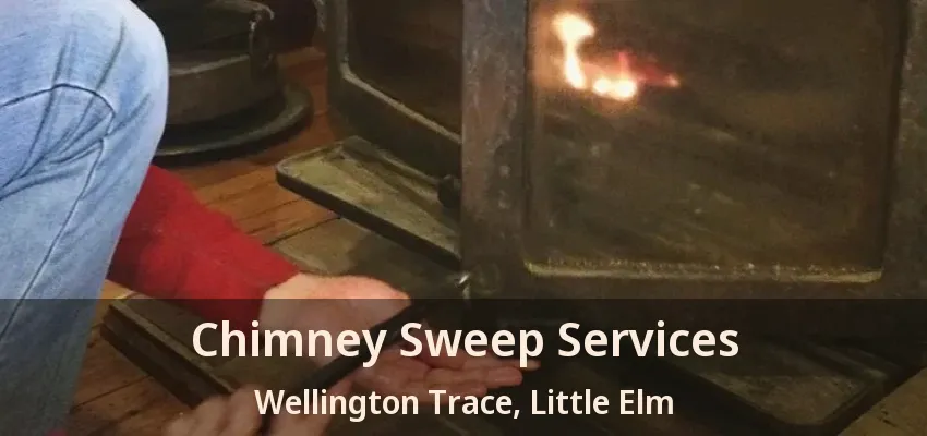 Chimney Sweep Services Wellington Trace, Little Elm - TX