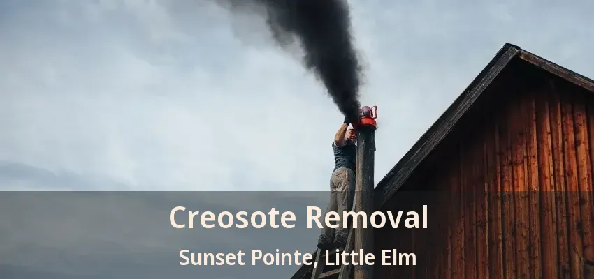 Creosote Removal Sunset Pointe, Little Elm - TX