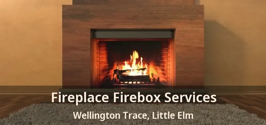 Fireplace Firebox Services Wellington Trace, Little Elm - TX
