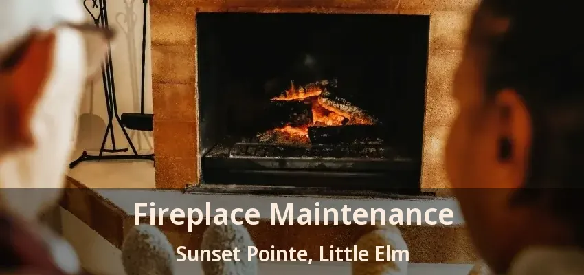 Fireplace Maintenance Sunset Pointe, Little Elm - TX