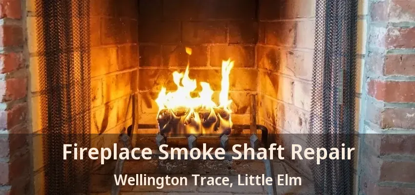 Fireplace Smoke Shaft Repair Wellington Trace, Little Elm - TX