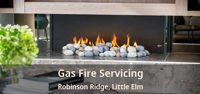 Gas Fire Servicing Robinson Ridge, Little Elm - TX
