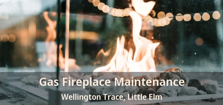 Gas Fireplace Maintenance Wellington Trace, Little Elm - TX