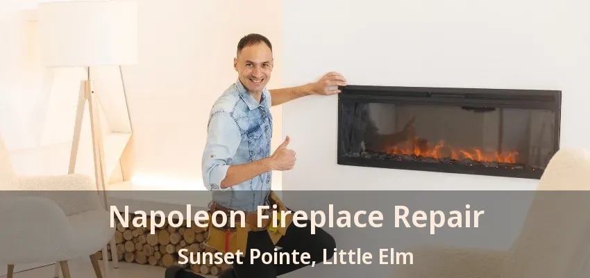 Napoleon Fireplace Repair Sunset Pointe, Little Elm - TX