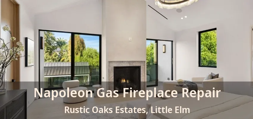 Napoleon Gas Fireplace Repair Rustic Oaks Estates, Little Elm - TX