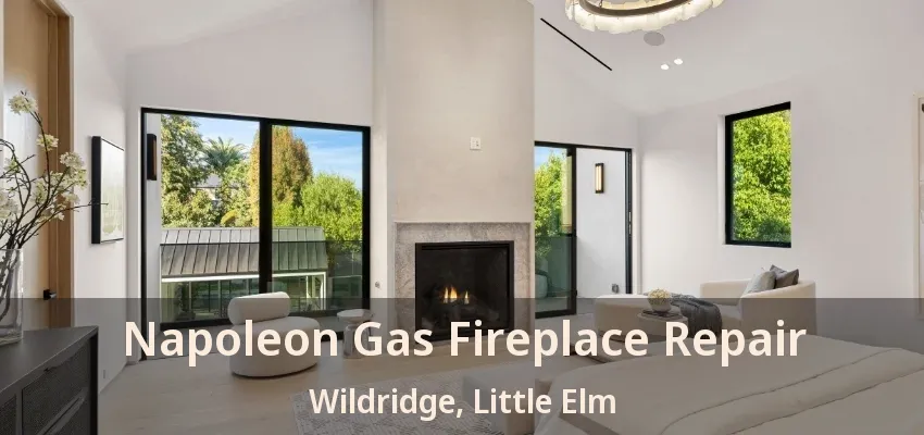 Napoleon Gas Fireplace Repair Wildridge, Little Elm - TX