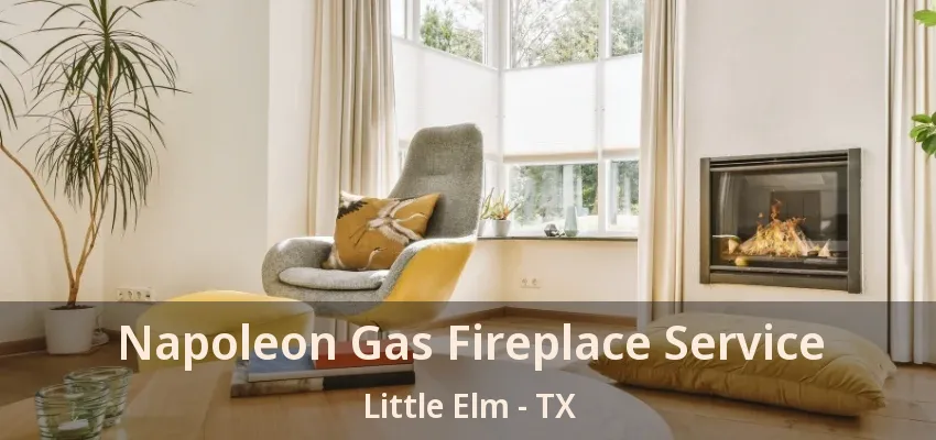 Napoleon Gas Fireplace Service Little Elm - TX