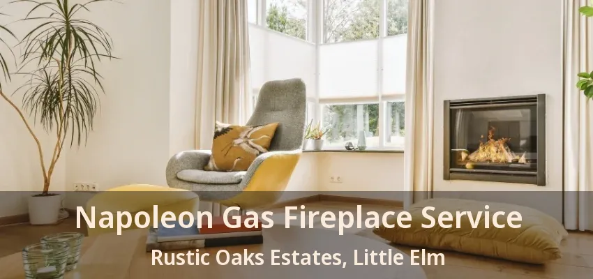 Napoleon Gas Fireplace Service Rustic Oaks Estates, Little Elm - TX