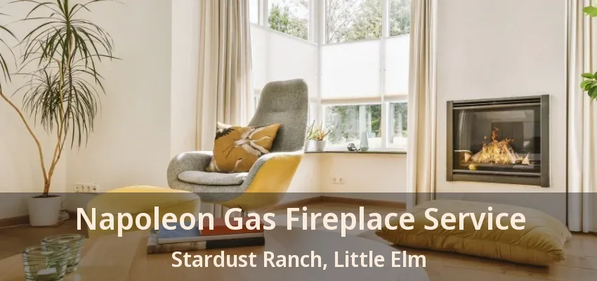 Napoleon Gas Fireplace Service Stardust Ranch, Little Elm - TX