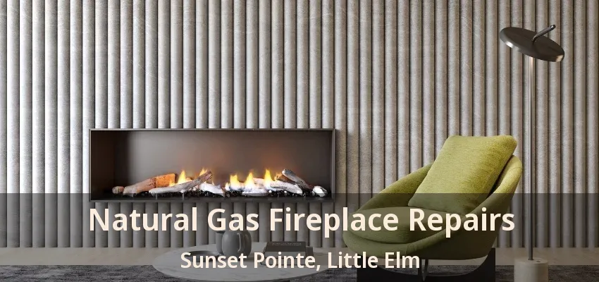Natural Gas Fireplace Repairs Sunset Pointe, Little Elm - TX