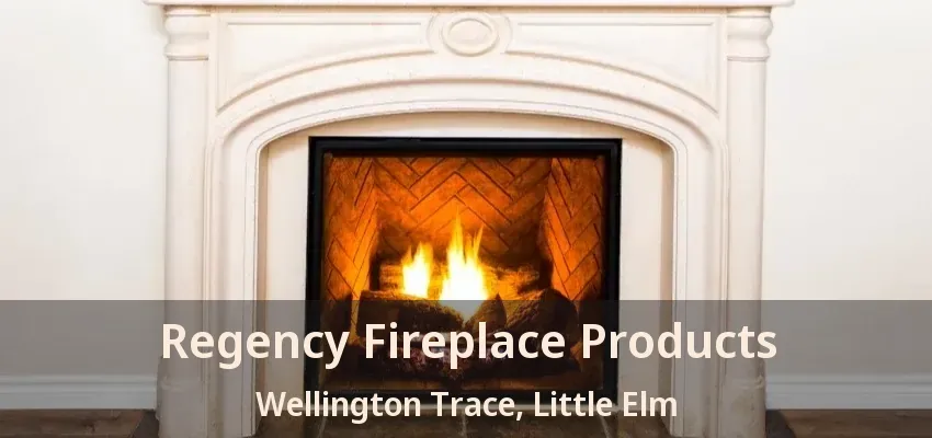 Regency Fireplace Products Wellington Trace, Little Elm - TX