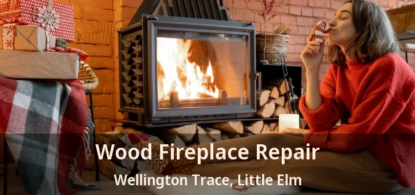 Wood Fireplace Repair Wellington Trace, Little Elm - TX