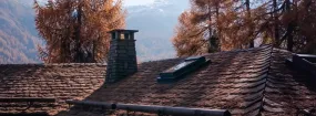 Chimney Animal Removal Little Elm