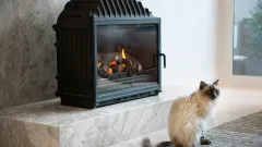 Wood Burning Fireplace Repair Little Elm